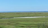 Randonnée Marche Huisnes-sur-Mer - Huisnes-sur-Mer - vue Mont-St-Michel - Pointe de Roche Torin - 14km 75m 4h30 (45mn) - 2017 06 26 - Photo 1