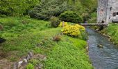 Trail Walking Dinant - Foy Notre Dame 250424 - Photo 13