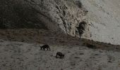 Tour Wandern Saint-Dalmas-le-Selvage - Cime de Pal par Gialorgues - Photo 6