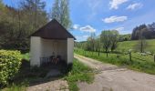 Tour Wandern Feitweiler - rando honville 18-05-2023 - Photo 9