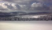 Percorso A piedi Rokytnice nad Jizerou - NS Živá mrtvá Mumlava - Photo 7