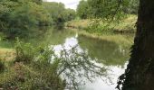 Excursión Senderismo Blain - 13.08.2019 - Autour de ST OMER DE BLAIN - Photo 10