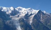 Trail Walking Chamonix-Mont-Blanc - Les Lacs Noirs 10.7.22 - Photo 18