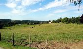 Tour Zu Fuß Hennef (Sieg) - Holzweg (Erlebnisweg Sieg Nr. 6) - Photo 3