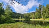 Trail Walking Bad Peterstal-Griesbach - Buhlbachsee & Lotharpfad - Photo 11