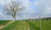 Tocht Stappen Linkebeek - Promenade 3: Par champs et prés - Photo 11