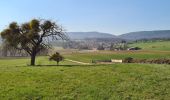 Tour Wandern Sulz unterm Wald - Le sentier des cimes depuis Soultz - Photo 6