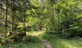 Excursión Senderismo Arith - Col de la couchette en boucle avec passage au refuge - Photo 12