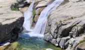 Trail Walking Vivario - cascade  de manganello et de meli - Photo 2