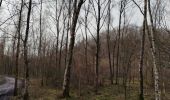 Trail Nordic walking Condé-sur-l'Escaut - la grande boucle de Condé sur Escaut  - Photo 8