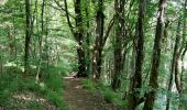 Trail Walking Esch-sur-Sûre - Promenade au lac de la Haute-Sûre   - Photo 1