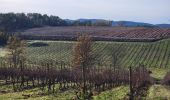 Tocht Stappen Fayence - Fayence. Le circuit des trois chapelles  - Photo 9