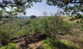 Tour Wandern Kiischpelt - eislek trail de Kautenbach à Troisvierges  - Photo 3