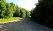 Trail Walking Pierrefonds - en forêt de Compiègne_30_la Tournante sous le Mont Saint-Mard - Photo 2