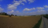 Tour Mountainbike Villers-la-Ville - Braine_l'Alleud_20220422_094506 (1) - Photo 13