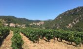 Excursión Senderismo Vieussan - Tour de l’Ayrolle au départ de Vieussan. - Photo 1