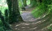 Tocht Stappen Saint-Philbert-sur-Orne - La roche d’oëtre  - Photo 11