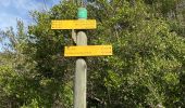 Trail Walking Collias - COLLIAS - Photo 3