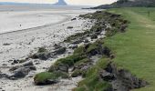 Tocht Stappen Vains - Pointe du Grouin Sud - Marcey les Grèves  - Photo 4