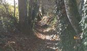 Trail Walking Pluguffan - nd grace - Photo 1