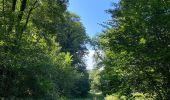 Tocht Stappen Florennes - Hanzinelle - Hanzinne - Fromée - Biesme - Wagnée - Photo 17