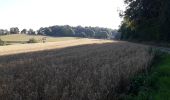 Tour Wandern Belforêt-en-Perche - le chêne de l'école - Photo 8