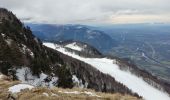 Tocht Sneeuwschoenen Autrans-Méaudre en Vercors - Pas de Nave  - Photo 4