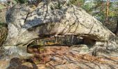 Excursión Senderismo Fontainebleau - Sentier Denecourt 7 - Photo 14