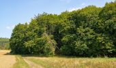 Randonnée A pied Warburg - Rundwanderweg 