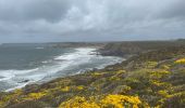 Tocht Stappen Crozon - Tours Plage de Goulien  pointe de Dinan - Photo 12