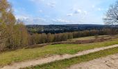 Trail Walking Liège - petit tour des Landes Streupas - Photo 7