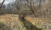 Tour Zu Fuß Am Mellensee - Kloserrundwanderweg - Photo 6