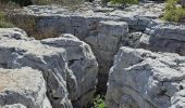 Tour Wandern Signes - Signes - L'éléphant de pierre - Photo 19