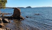 Tour Wandern La Londe-les-Maures - Plage de l'Argentière à Cabasson en A/R-14-01-22 - Photo 16