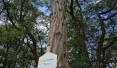 Trail Walking Chaudfontaine - 2025-07-28_14h47m35_ChaudfontaineP06ChapelleSainteAnne - Photo 15