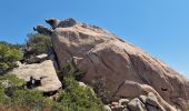 Tour Zu Fuß Ajaccio - Sentier des Crêtes Ajaccio et Grotte Napoléon - Photo 10