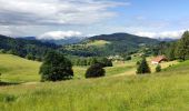 Trail Horseback riding Gerbamont - 2022-06-04 Rando CVA Gerbamont Boucle Foret de Noire Goutte - Photo 7