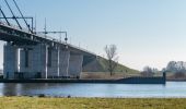 Tour Zu Fuß Kampen - WNW IJsseldelta -Ketelmeer - blauwe route - Photo 3