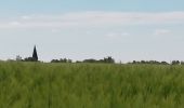 Tocht Stappen Condé-en-Normandie - Condé sur Noireau - Photo 1