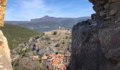 Tour Wandern Caudiès-de-Fenouillèdes - 20230322 un petit dans l’histoire médiévale  - Photo 6