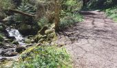 Trail Walking Ceyrat - GORGES DE CEYRAT EN BOUCLE PAR BERZET - Photo 5