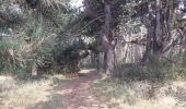 Trail Walking Le Crotoy - LP80_Le Crotoy_La Maye_4.6km - Photo 1