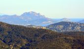 Trail Walking Le Plan-de-la-Tour - Autour du rocher de San Peyre - Photo 9