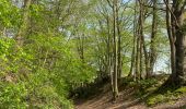 Trail Walking Ottignies-Louvain-la-Neuve - #240412 - 3 bois : de Bustons, des Corbeaux et des Volontaires (courte) - Photo 9