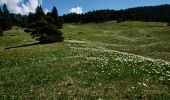 Trail Walking Saint-Agnan-en-Vercors - Plateau de Beure - Tête du Faisan - Photo 9
