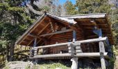 Tocht Stappen Sewen - Lac d'Alfed et sa cascade - Lac des Perches  - Lac du Newiher - Photo 11