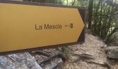 Tocht Stappen La Palud-sur-Verdon - sentier blanc Martel depuis Chalet les Malines - Photo 12