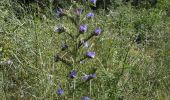 Percorso Marcia Tavers - Balade Tavers-Beaugency  - Photo 3