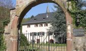 Tour Zu Fuß Rüdesheim am Rhein - Rundwanderweg Tanne - Photo 4