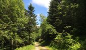 Trail Walking Bossòst - Col du portillon pic d’aubas et d’arbres - Photo 1